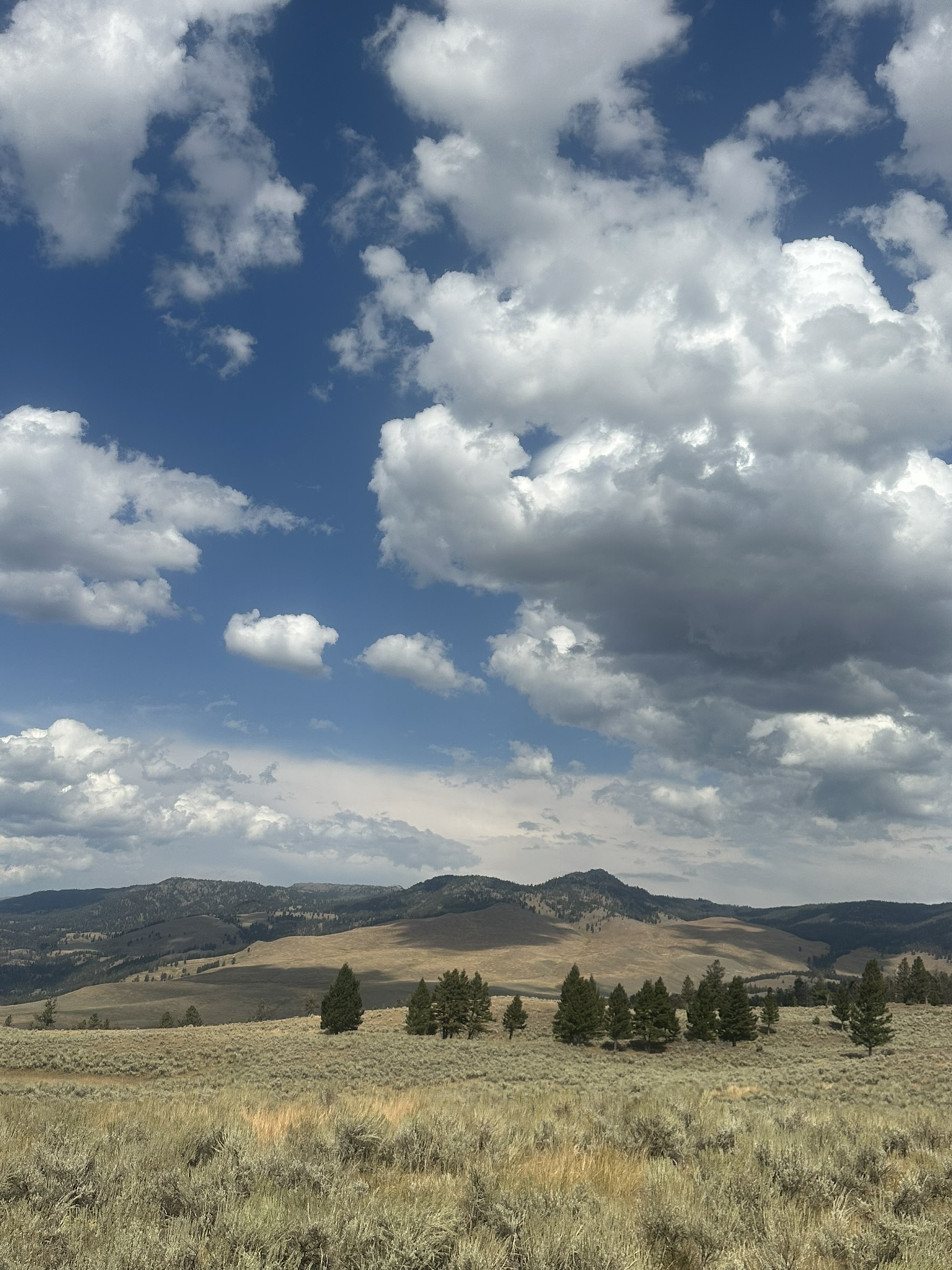 Yellowstone And Grand Teton National Parks - Image 766
